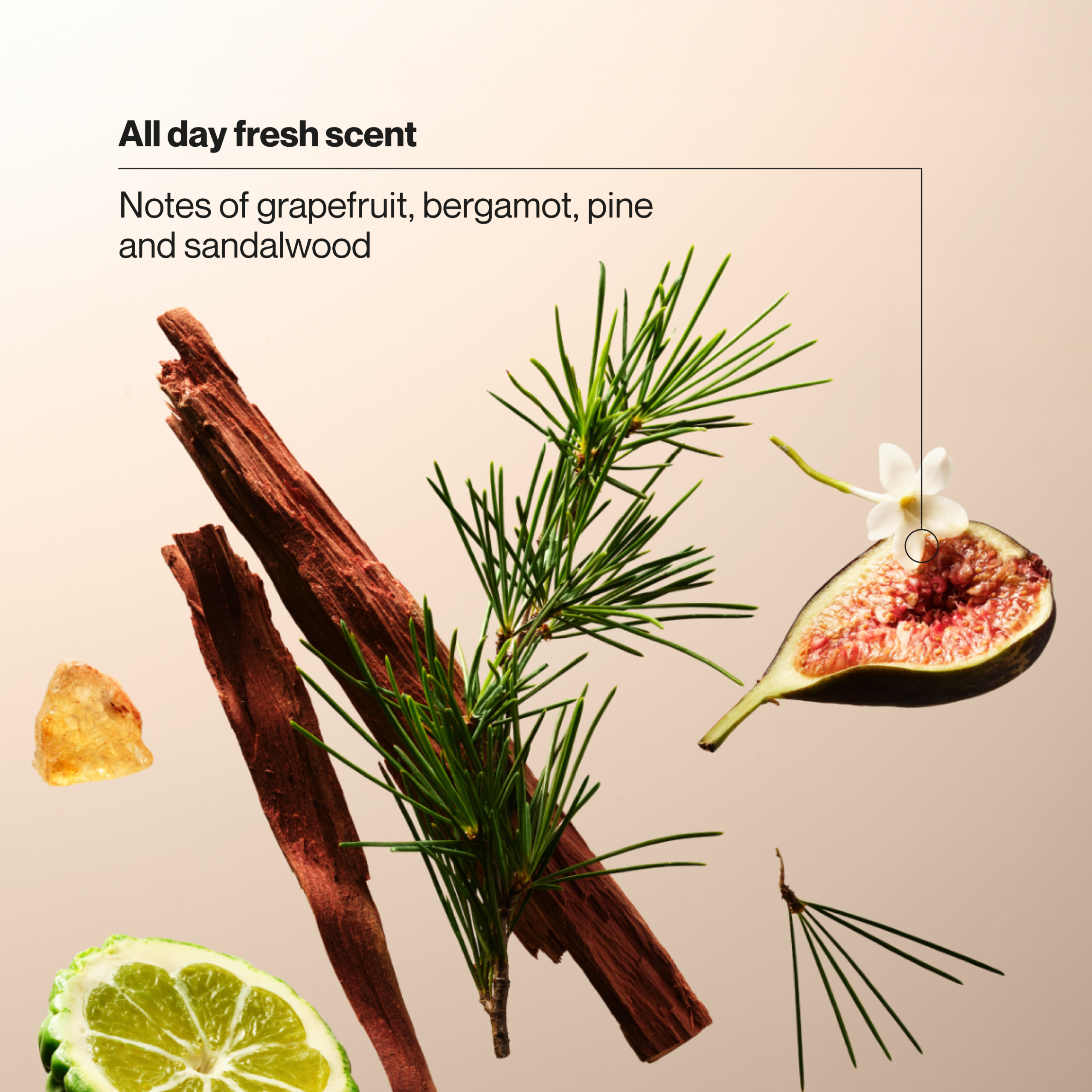 Men's Fresh Defense Body + Face Wash - Image 4