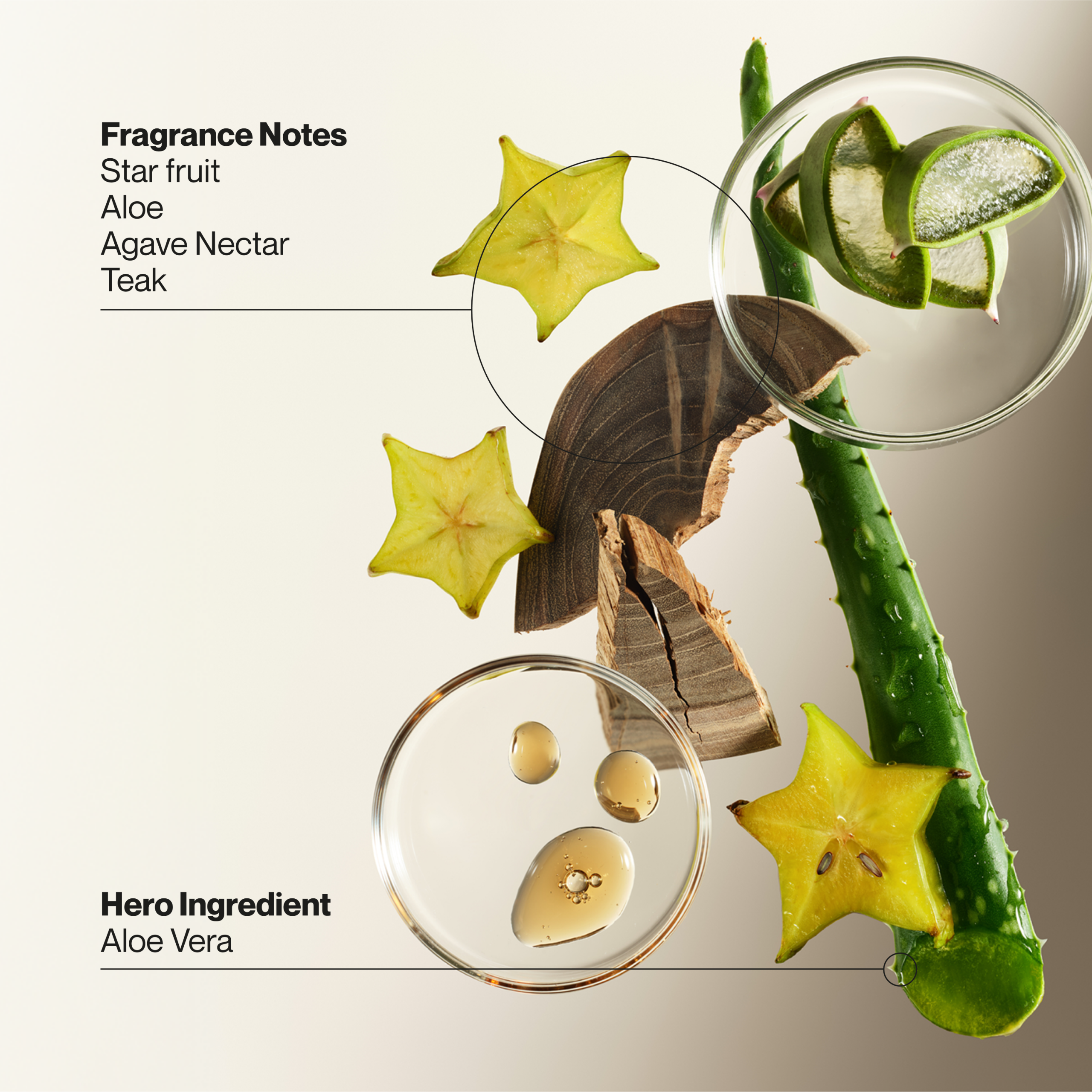 Soothing Hydration Hand & Body Lotion - Image 3