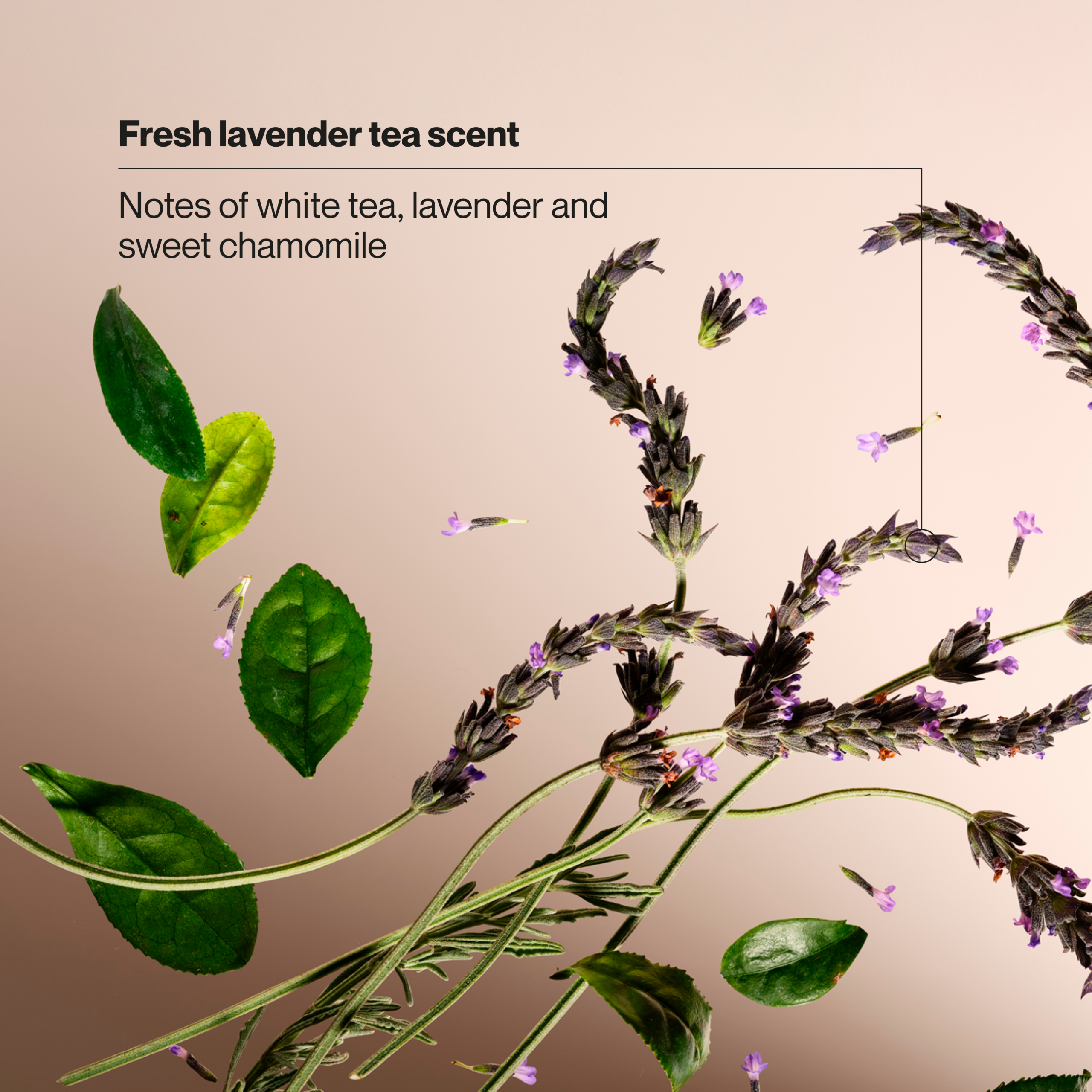 White Tea & Lavender Moisturizing Hand Wash - Image 4