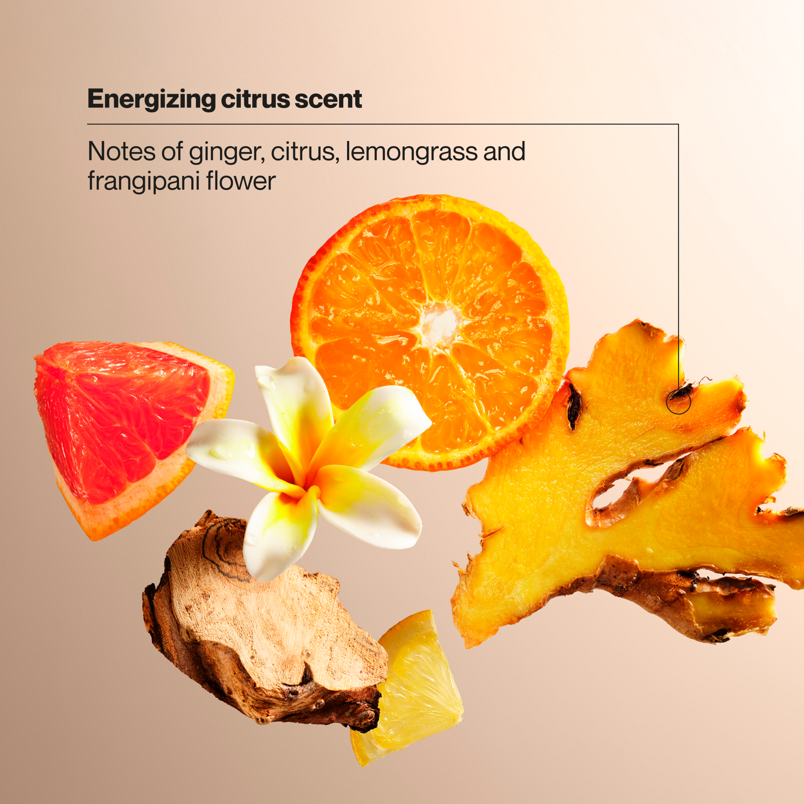 Fresh Citrus Antibacterial Hand Wash - Image 5